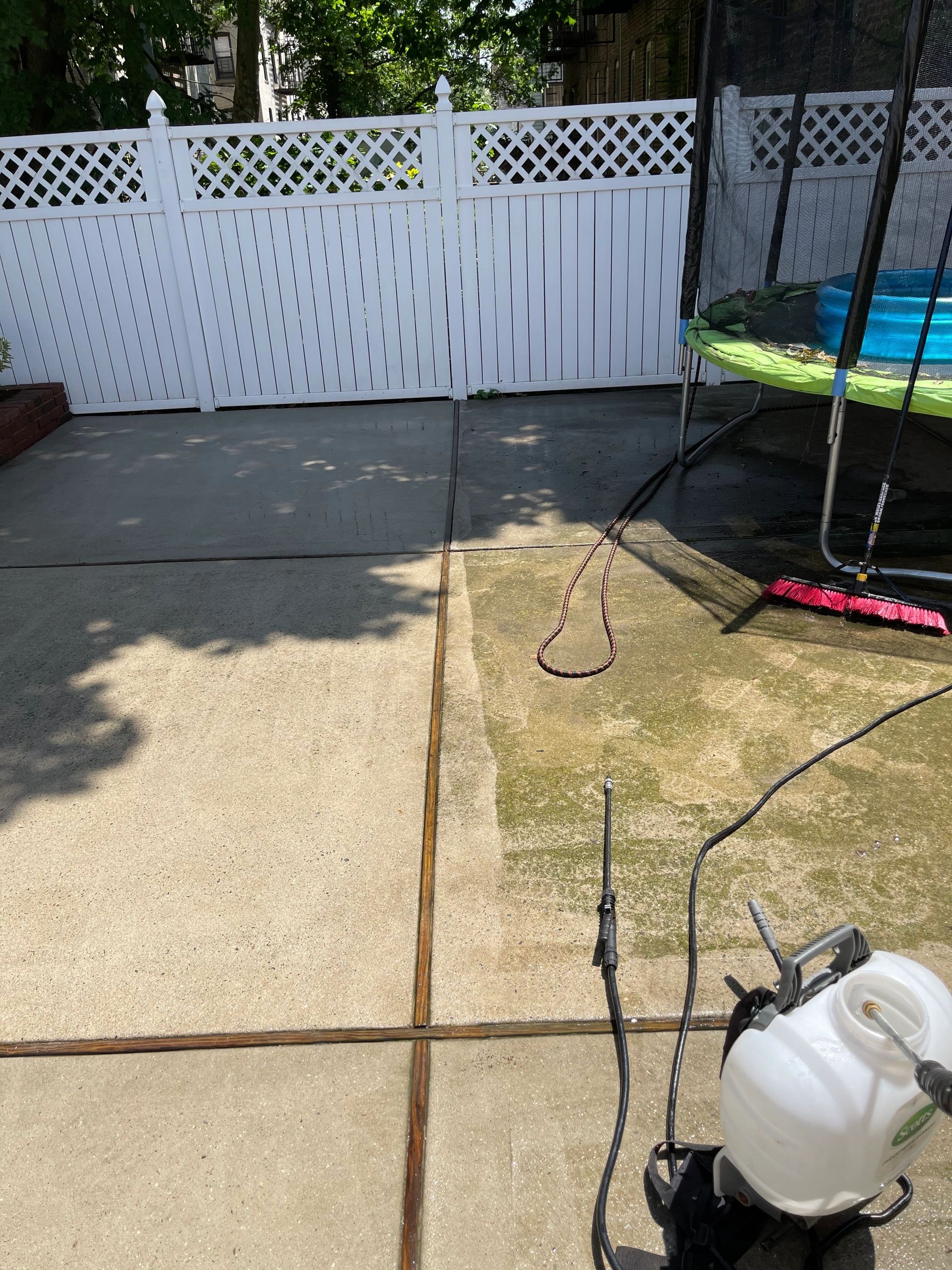 Professional roof cleaning